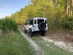 Land Rover Defender 110 by Osprey Custom Cars 1993 года